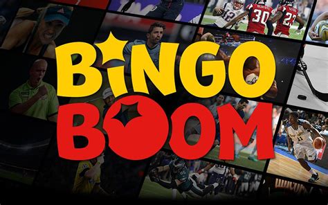 bingo boom maintenance